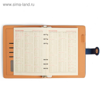 Органайзер на кольцах "Классика" А5, 96 листов в линейку, с ремешком, МИКС Органайзер на кольцах "Классика" А5, 96 листов в линейку, с ремешком, МИКС