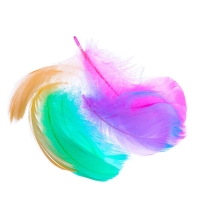 Набор для творчества &laquo;Ловец снов&raquo;