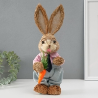 Сувенир "Ученый-зайка с морковкой" 10х12,5х34,5 см Сувенир "Ученый-зайка с морковкой" 10х12,5х34,5 см
