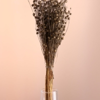 Набор сухоцветов "Лён-долгунец", банч длина 55-60 (+/- 6 см), бронза Набор сухоцветов "Лён-долгунец", банч длина 55-60 (+/- 6 см), бронза