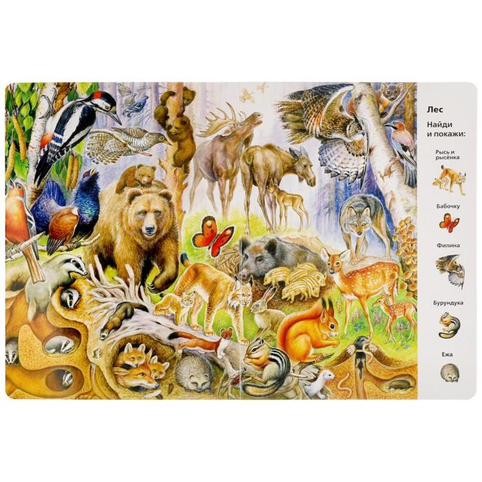 &laquo;Найди и покажи. Животные&raquo;, Виммельбух