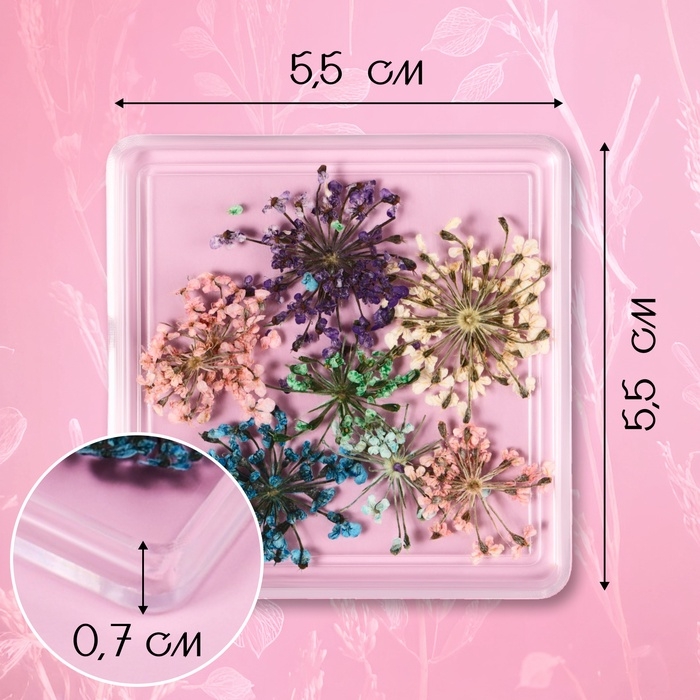 Сухоцветы для декора ногтей, в футляре, вид МИКС Сухоцветы для декора ногтей, в футляре, вид МИКС