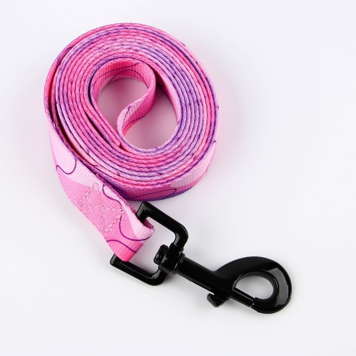 Набор &laquo;Нежность&raquo;, застёжка - фастекс, поводок 2 м и ошейник 28-46 см