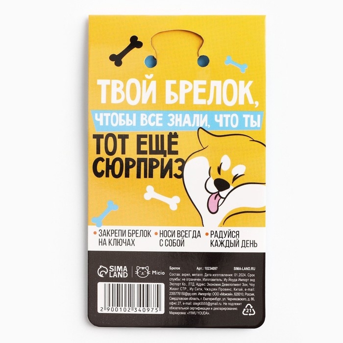 Брелок для ключей акриловый &laquo;Я не подарок&raquo;, 9.7 х 4.3 см