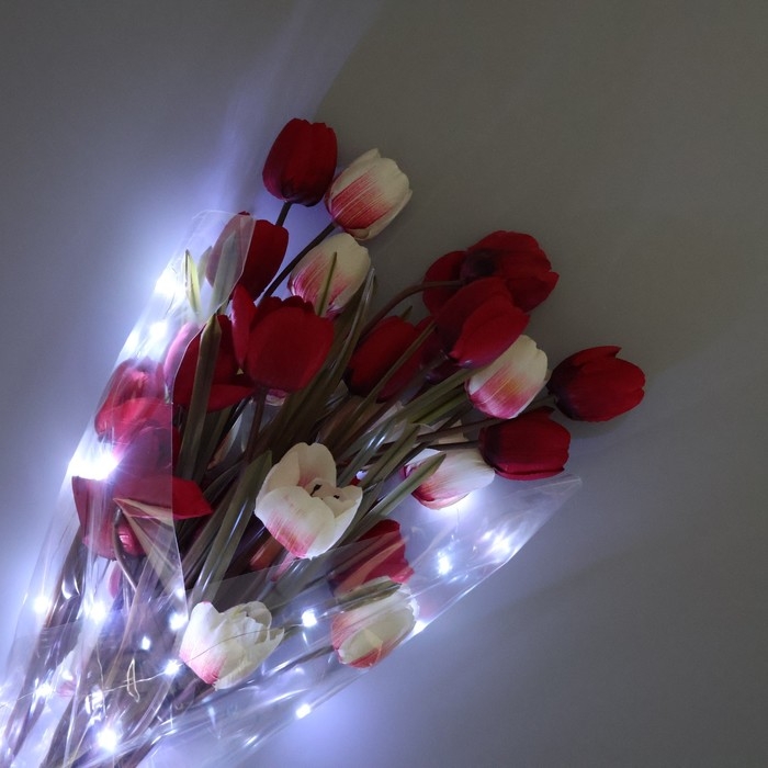 Плёнка упаковочная с гирляндой &laquo;Холодный белый&raquo;, 60 х 60 см