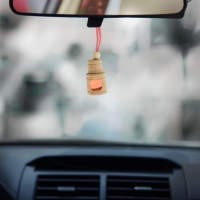 Ароматизатор в бутылочке «BOSS Girl», бабл -гам Ароматизатор в бутылочке «BOSS Girl», бабл -гам