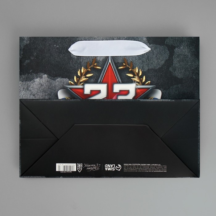 Пакет подарочный ламинированный вертикальный, упаковка, &laquo;23 февраля&raquo;, MS 23 х 18 х 10 см