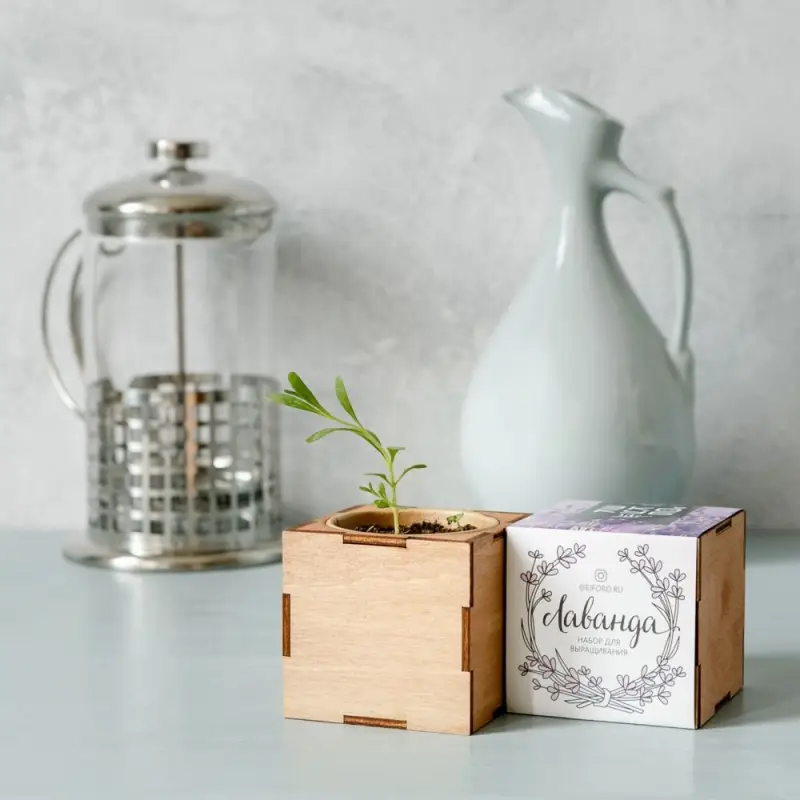 Набор для выращивания &laquo;Экокуб Lite&raquo;, лаванда