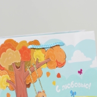 Пакет подарочный ламинированный, упаковка, &laquo;С Любовью&raquo;, MS 23 х 18 х 8 см