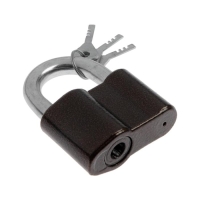 Замок навесной "СТАНДАРТ" ВС2МС, дужка d=14 мм Замок навесной "СТАНДАРТ" ВС2МС, дужка d=14 мм