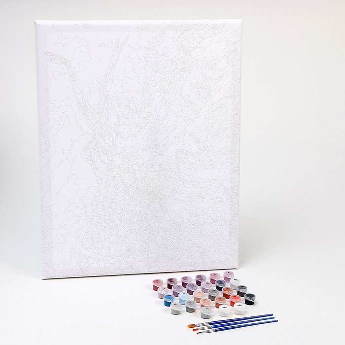 Картина по номерам на холсте с подрамником &laquo;Балет&raquo;, 40 х 50 см