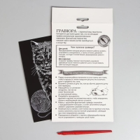 Гравюра &laquo;Кошечка&raquo; с металлическим эффектом &laquo;серебро&raquo; А5