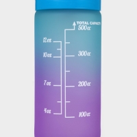 Бутылка для воды стеклянная Herevin &laquo;Градиент&raquo;, 500 мл