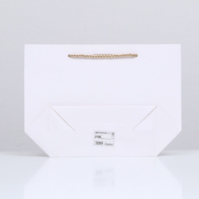 Пакет подарочный с лентой 19 х 20 х 9 см Пакет подарочный с лентой 19 х 20 х 9 см "Белый"