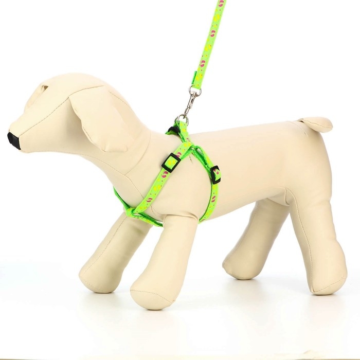 Комплект Комплект "Цветные следы", поводок 120 х 1 см, ОГ 23-35 см, зелёный