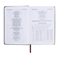 Ежедневник недатированный, А5, 140л, клетка, обл.кожзам, с хлястиком, Полоски серый Ежедневник недатированный, А5, 140л, клетка, обл.кожзам, с хлястиком, Полоски серый