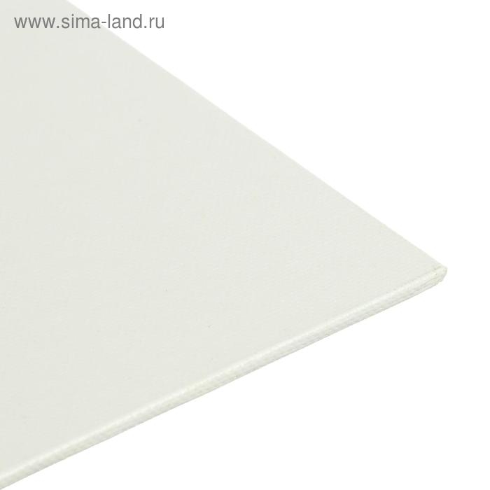 Холст на картоне 25 х 30 см, хлопок 100%, акриловый грунт, мелкозернистый, Холст на картоне 25 х 30 см, хлопок 100%, акриловый грунт, мелкозернистый, "Студия"