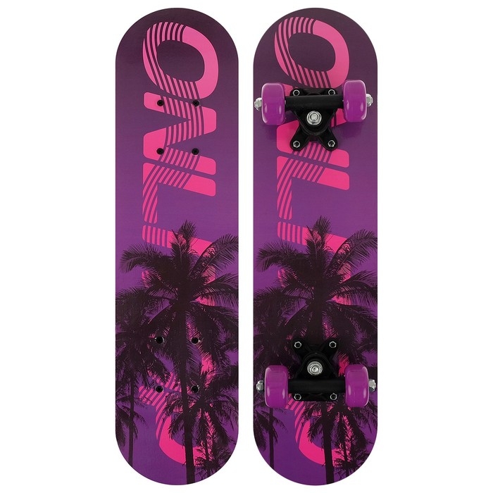 Скейтборд подростковый ONLITOP, 62×16 см, колёса PVC 50 мм, пластиковая рама Скейтборд подростковый ONLITOP, 62×16 см, колёса PVC 50 мм, пластиковая рама