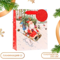 Новый год. Пакет подарочный "На санях", люкс, 18 х 22,3 х 10 см. Новый год. Пакет подарочный "На санях", люкс, 18 х 22,3 х 10 см.