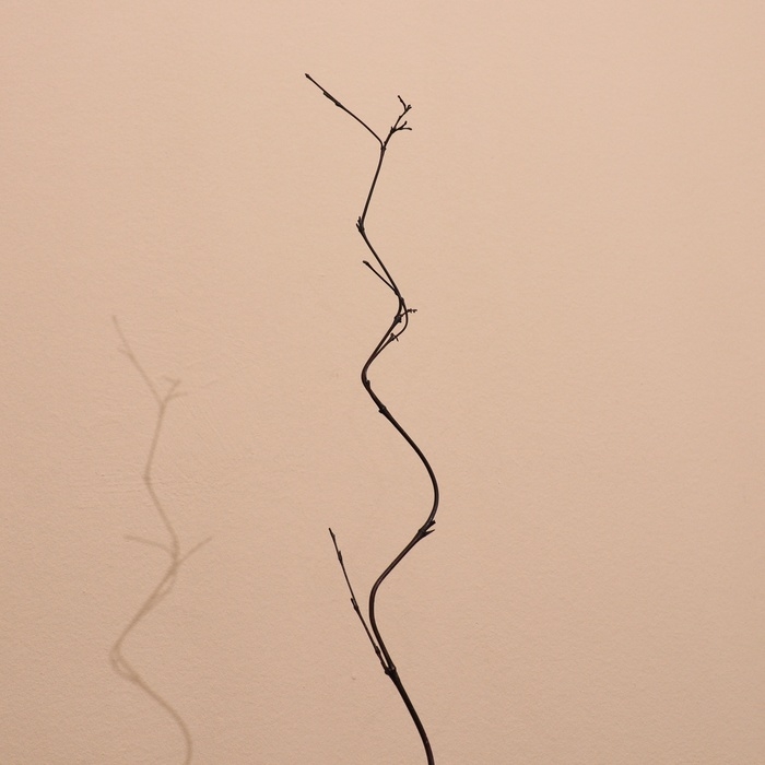 Интерьерный декор из бамбука, 200 см тёмный