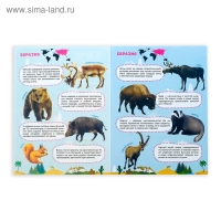 Наклейки &laquo;Мои первые энциклопедии&raquo;, набор 4 шт. по 8 стр., формат А4