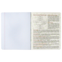 Комплект предметных тетрадей Calligrata TOP "Абстракция", 48 листов, 10 предметов, со справочным материалом, обложка мелованный картнон, голографическая ламинация, блок офсет Комплект предметных тетрадей Calligrata TOP "Абстракция", 48 листов, 10 предметов, со справочным материалом, обложка мелованный картнон, голографическая ламинация, блок офсет