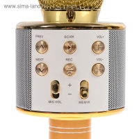 Микрофон для караоке Luazon LZZ-56, WS-858, 1800 мАч, жёлтый Микрофон для караоке Luazon LZZ-56, WS-858, 1800 мАч, жёлтый