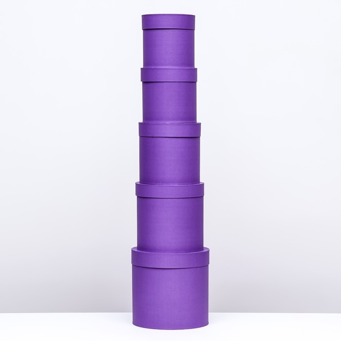 Набор шляпных коробок 5в1, темная лаванда, 23 х 23 - 15 х 15 см Набор шляпных коробок 5в1, темная лаванда, 23 х 23 - 15 х 15 см