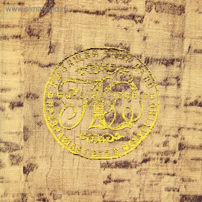 Сейф-книга дерево кожзам "А.С. Пушкин. Капитанская дочка" 21х13х5 см