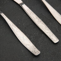 Набор столовый «Уралочка», 24 предмета, толщина 2 мм, картонная коробка, цвет серебряный Набор столовый «Уралочка», 24 предмета, толщина 2 мм, картонная коробка, цвет серебряный