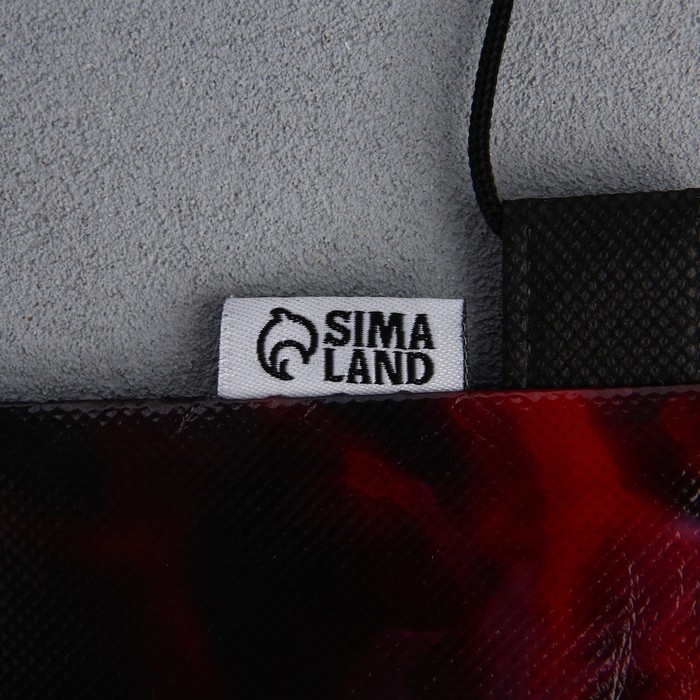 Мешок для обуви &laquo;Футбол&raquo; полиэстер, размер 30 х 40 см