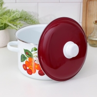 Кастрюля эмалированная &laquo;Черешня&raquo;, 5.5 л, индукция, цвет белый