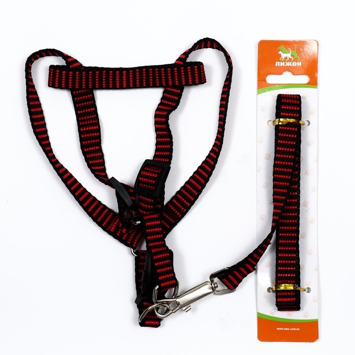 Комплект амуниции рельефный, 1,5 см, шлейка 36-49 см, поводок 120 см, красно-чёрный Комплект амуниции рельефный, 1,5 см, шлейка 36-49 см, поводок 120 см, красно-чёрный
