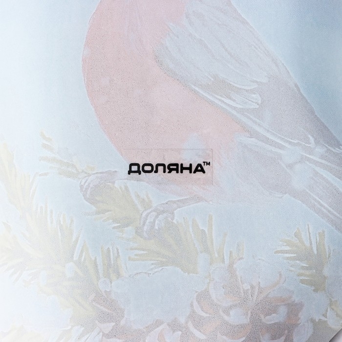 Блюдо новогоднее стеклянное сервировочное Доляна «Рукавица. Снегирь», 22,5×14 см Блюдо новогоднее стеклянное сервировочное Доляна «Рукавица. Снегирь», 22,5×14 см