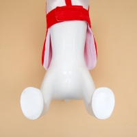 Новый год. Костюм "Новогодний мороз", размер M (ДС 34, ОГ 43, ОШ 20 см, вес 5-10 кг) Новый год. Костюм "Новогодний мороз", размер M (ДС 34, ОГ 43, ОШ 20 см, вес 5-10 кг)