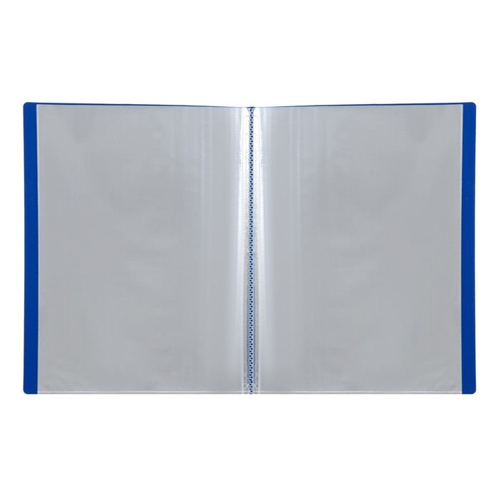 Папка-портфолио пластиковая А4, Calligrata "Снова в школу", 20 файлов