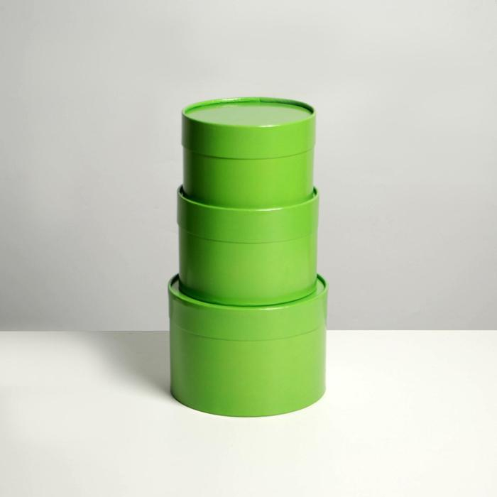 Набор шляпных коробок 3 в 1 салатовый, упаковка подарочная, 16 х 10, 14 х 9, 13 х 8,5 см