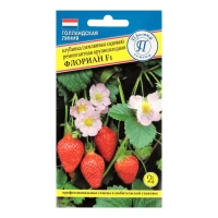 Семена Клубника "Флориан" F1. 5 шт Семена Клубника "Флориан" F1. 5 шт