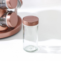 Набор для специй из стекла на подставке &laquo;Профи&raquo;, 100 мл, 19&times;20 см, 12 шт, цвет бронзовый