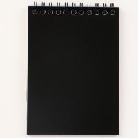 Блокнот - гравюра на новый год &laquo;Снегурочка с лисичкой&raquo;, 10 листов, лист наклеек