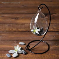 Флорариум "На подвесе" h-23 см (12х7,5 см и капелька d-5,5х4,5 см) Флорариум "На подвесе" h-23 см (12х7,5 см и капелька d-5,5х4,5 см)