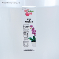 Кашпо для цветов &laquo;Фиджи&raquo;, 5 л, d=23 см, прозрачное