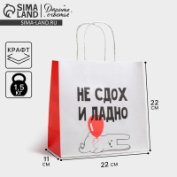 Упаковка, пакет подарочный, &laquo;И ладно&raquo;, 22 х 22 х 11 см