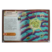 Энциклопедия 4D в дополненной реальности &laquo;Мир под микроскопом&raquo;