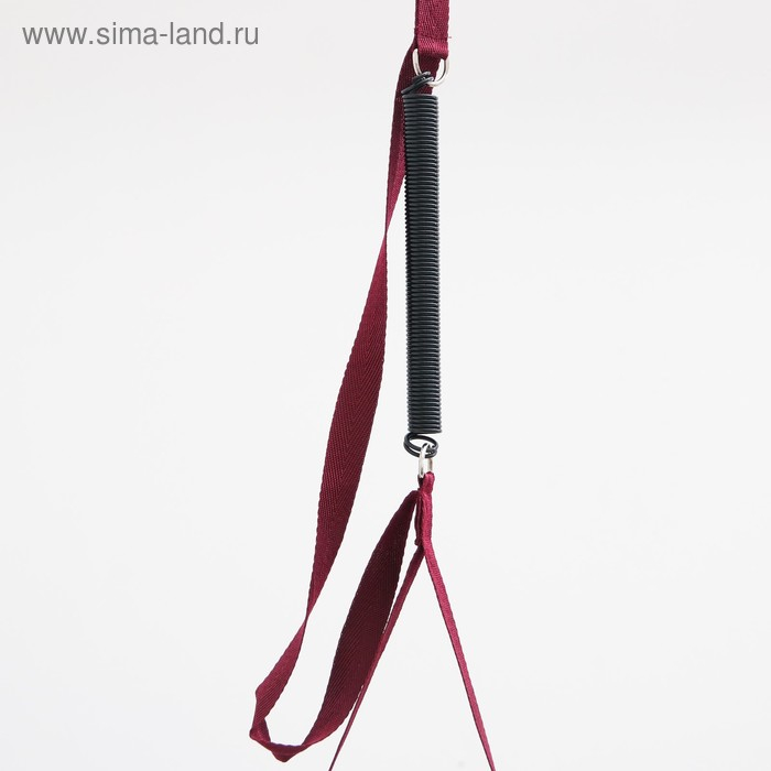 Прыгунки №1 &laquo;Звезды, Леденец, Мороженое&raquo; (прыгунки, качели, тарзанка), цвет МИКС