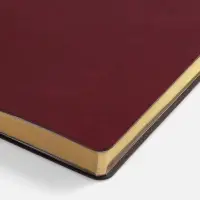 Ежедневник Nebraska Flex, недатированный, бордовый с золотистым Ежедневник Nebraska Flex, недатированный, бордовый с золотистым