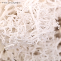 Мох искусственный "Белый" 10 гр Мох искусственный "Белый" 10 гр