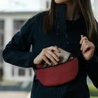 Поясная сумка Handy Dandy, бордовая Поясная сумка Handy Dandy, бордовая