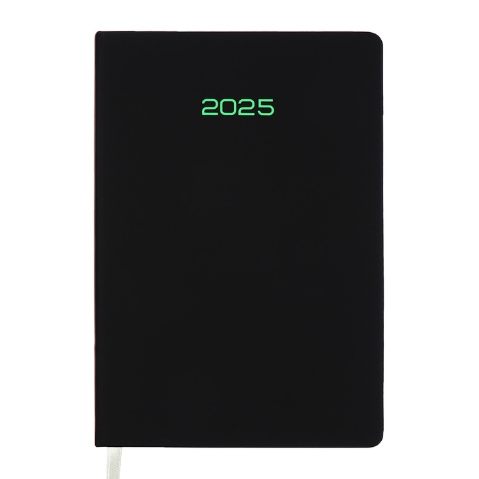 Ежедневник датированный 2025 года, deVENTE. Flag, A5 168 листов, deVENTE. Duo, твердая обложка кожзам с поролоном, шелкография, перфорация, ляссе, блок 70 г/м2