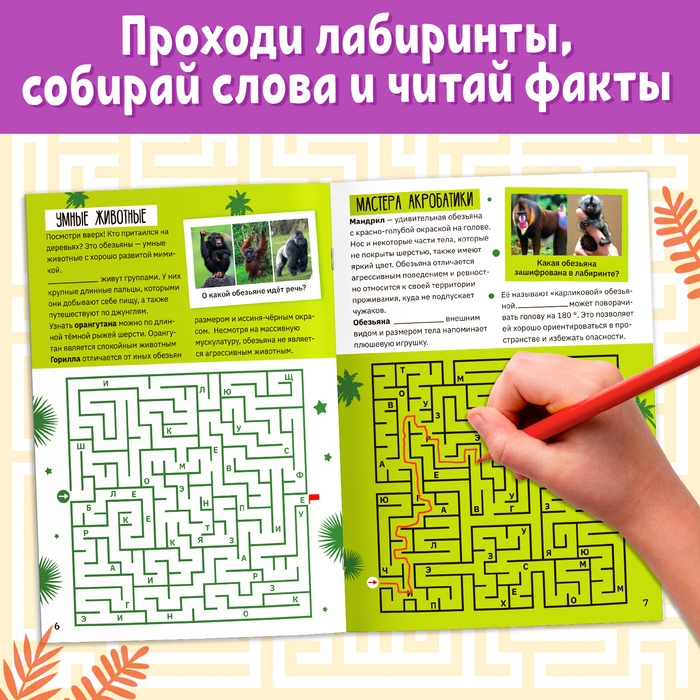Книга &laquo;Лабиринты и факты. По лианам в джунгли&raquo;, 24 стр.